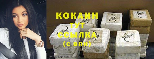 прущие грибы Арсеньев