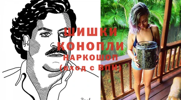 Альфа ПВП Аркадак