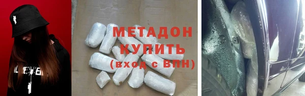 прущие грибы Арсеньев