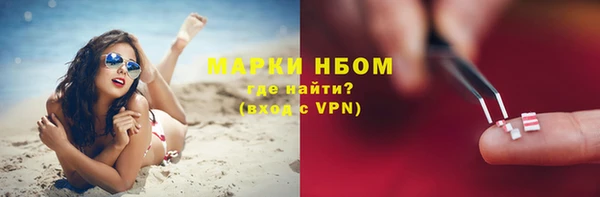 Альфа ПВП Аркадак
