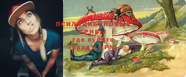 прущие грибы Арсеньев