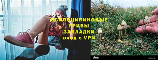СК Армянск