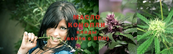 прущие грибы Арсеньев