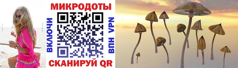Псилоцибиновые грибы Psilocybine cubensis  Уварово 